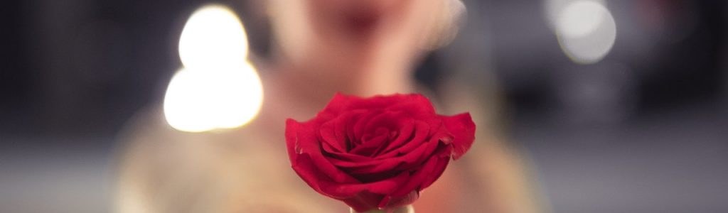 selective-focus-photo-of-red-rose-1324995 (1)